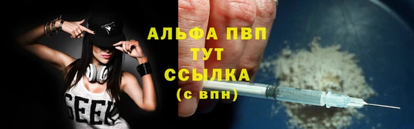 СК Балахна